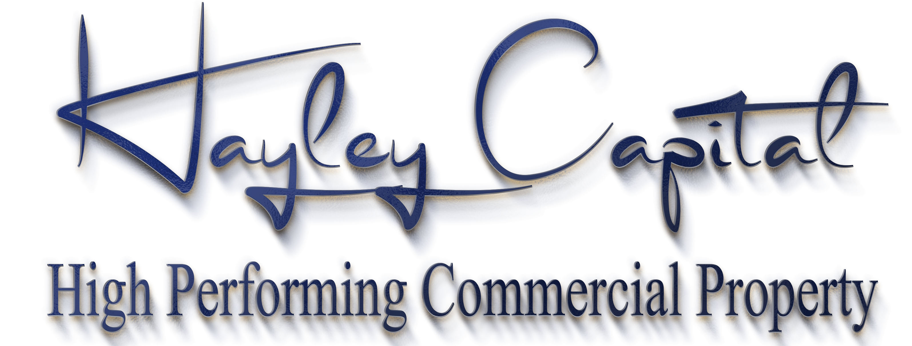 Hayley Capital Web Portal